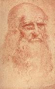 LEONARDO da Vinci Self Portrait France oil painting reproduction